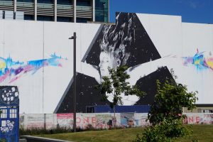 Christchurch Mural